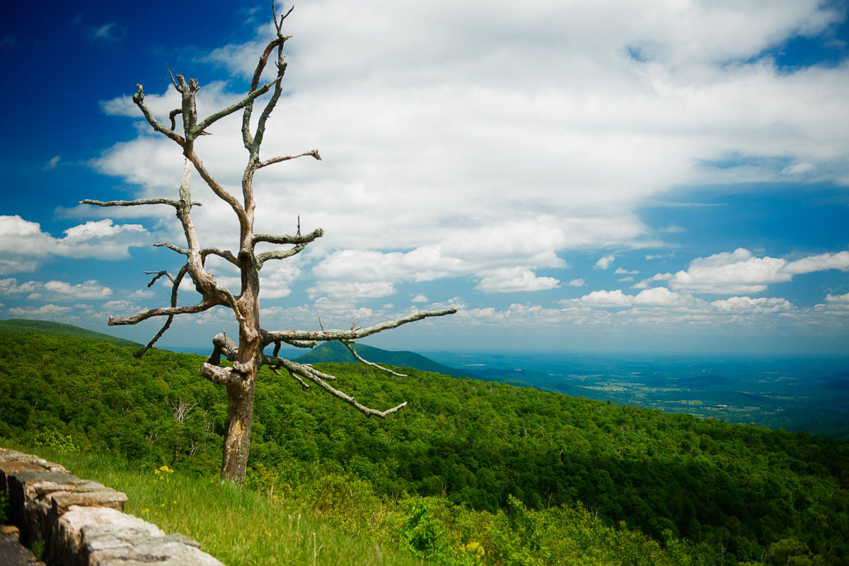 Scenic Virginia: Jan. 30, 2016